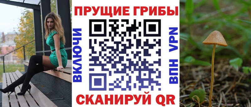 купить наркотик  Тында  МЕГА ССЫЛКА  Псилоцибиновые грибы Magic Shrooms 